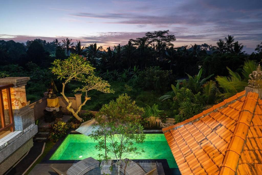 Beautiful 3 Bedroom Jungle View Ubud Extérieur photo