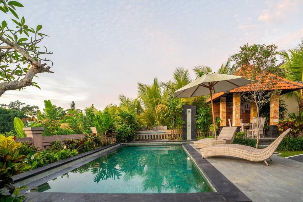 Beautiful 3 Bedroom Jungle View Ubud Extérieur photo