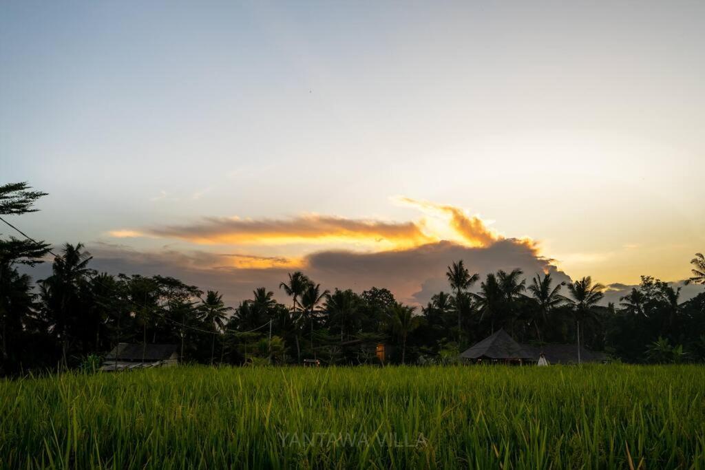 Beautiful 3 Bedroom Jungle View Ubud Extérieur photo
